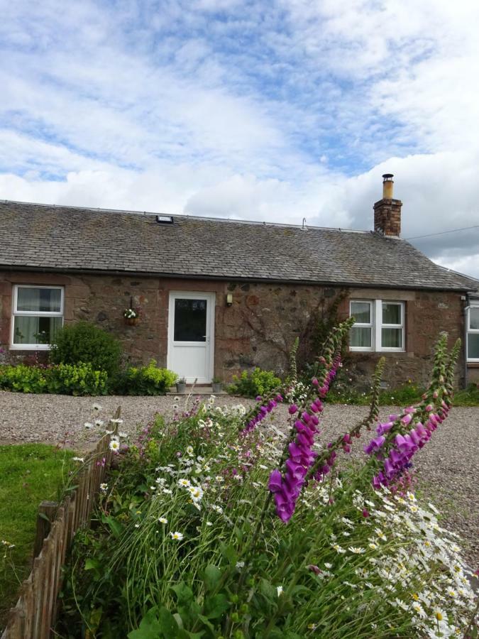 Incheoch Farm Cottage Kilry Exterior photo